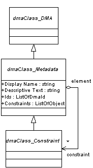 Constraint Metadata Class